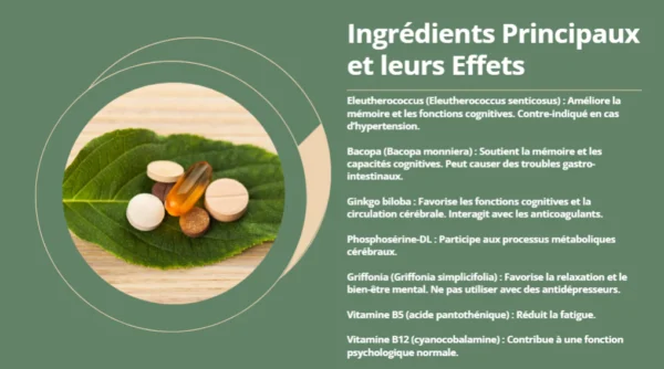 MYBRAIN : Boostez Votre Mémoire et Votre Concentration – Image 5